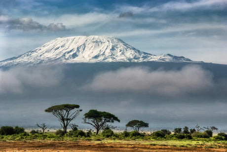 Kilimanjaro Erfahrung Machame-Route: Warm schlafen dank Miet-Ausrüstung - Eddy's Adventure GmbH
