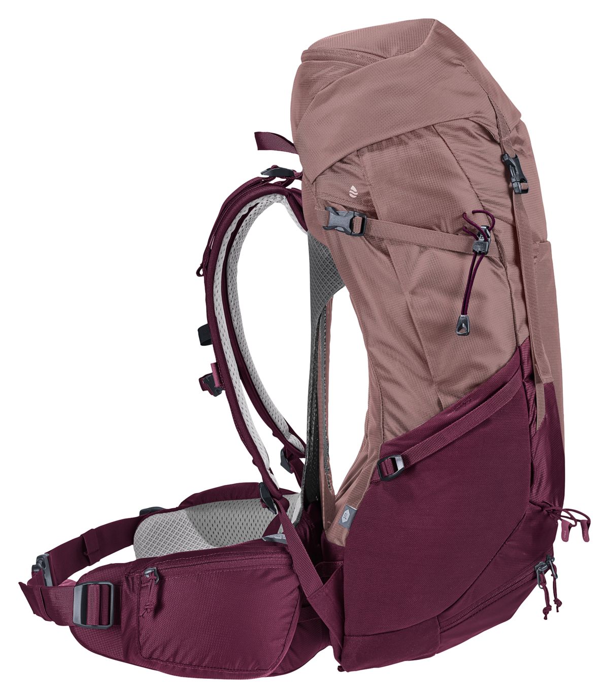 Deuter Futura Pro 34 SL Women's Fit - Wandermagazin Testsieger für Frauen JETZT MIETEN bei Eddy's Adventure