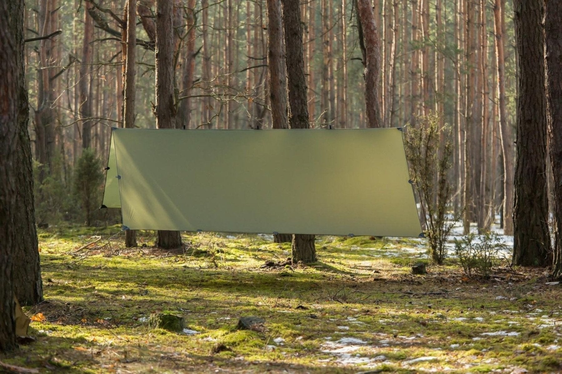 Lesovic Groza Tarp 300 x 300 cm - inkl. Abspannleinen (ohne Zeltheringe) (re - use) JETZT MIETEN bei Eddy's Adventure