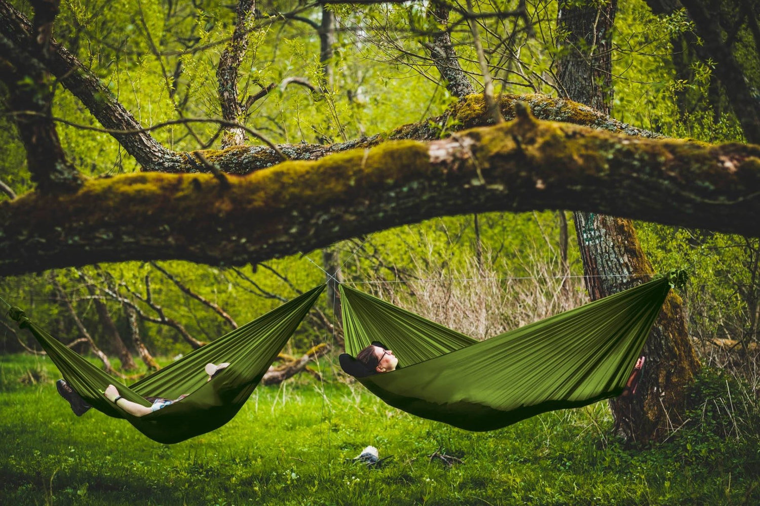 Lesovik DUCH Hängematte | robust und gross 300 x 150cm Hängematten mieten I Eddy's Adventure