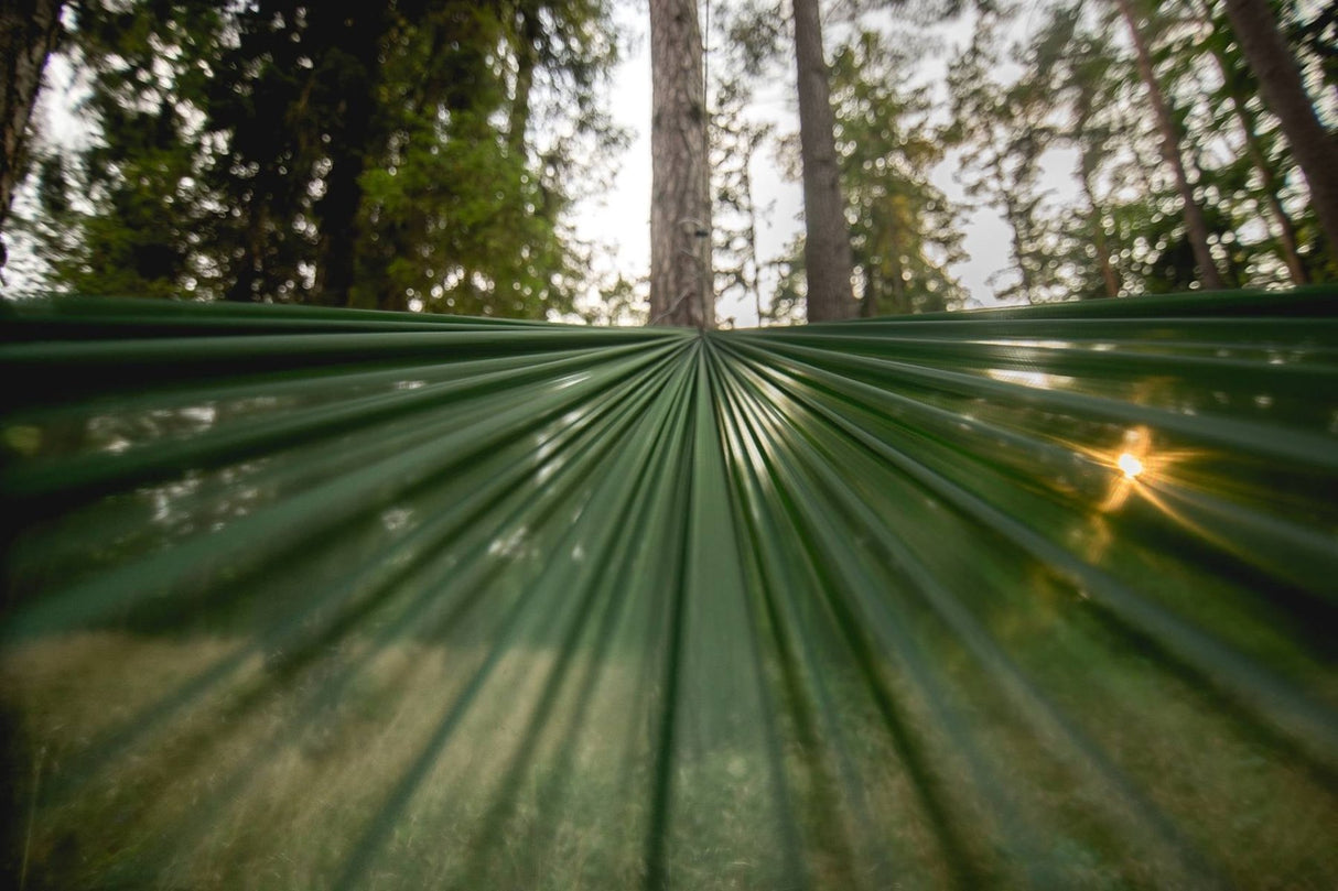 Lesovik SUL - ultraleichte Hängematte mit nur 175g | 300 x 145cm Hängematten mieten I Eddy's Adventure