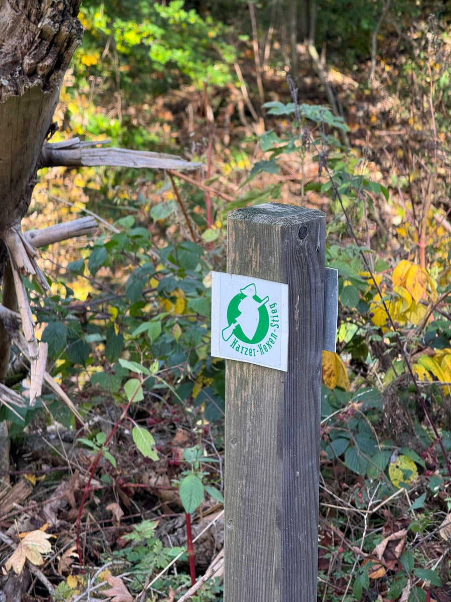 3 days, 100 km: Harz Witches' Trail – Customer report October 2025