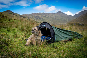Terra Nova Jupiter Lite - Gestänge-Bivy/ Zelt-Bivy