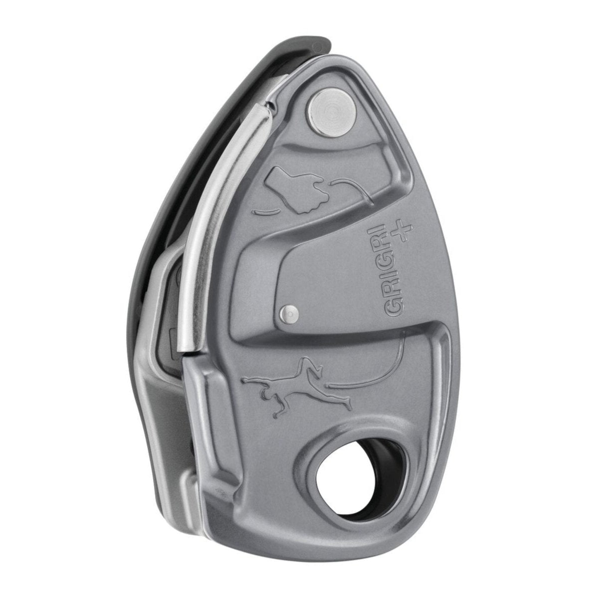 Petzl Grigri Plus Sicherungsgerät mit Blockierunterstützung Sicherungs - und Abseilgerät mieten I Eddy's Adventure
